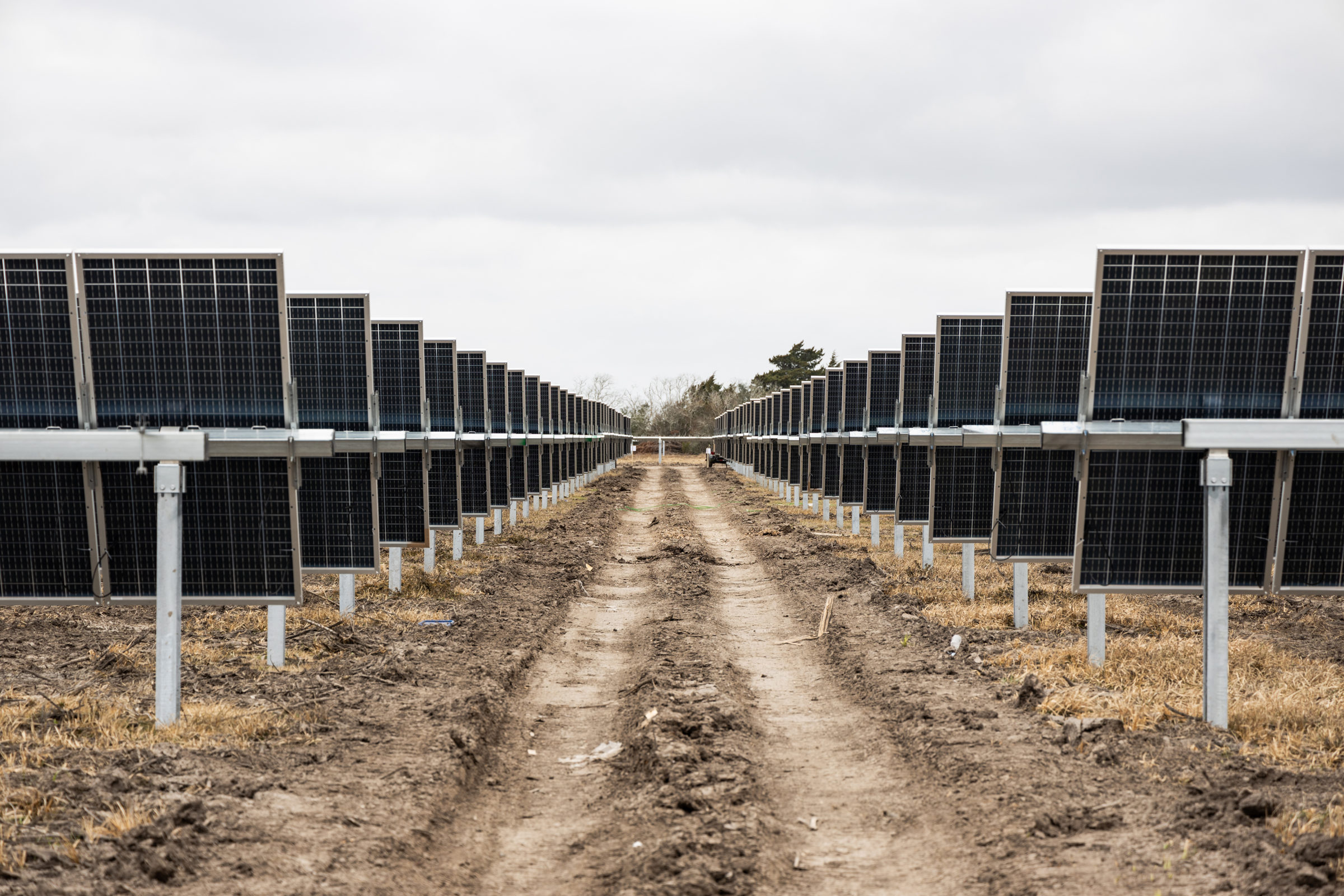 Rosendin's Renewable Energy Group Constructs Aktina Renewable Power Project in Texas, March 2021 panels