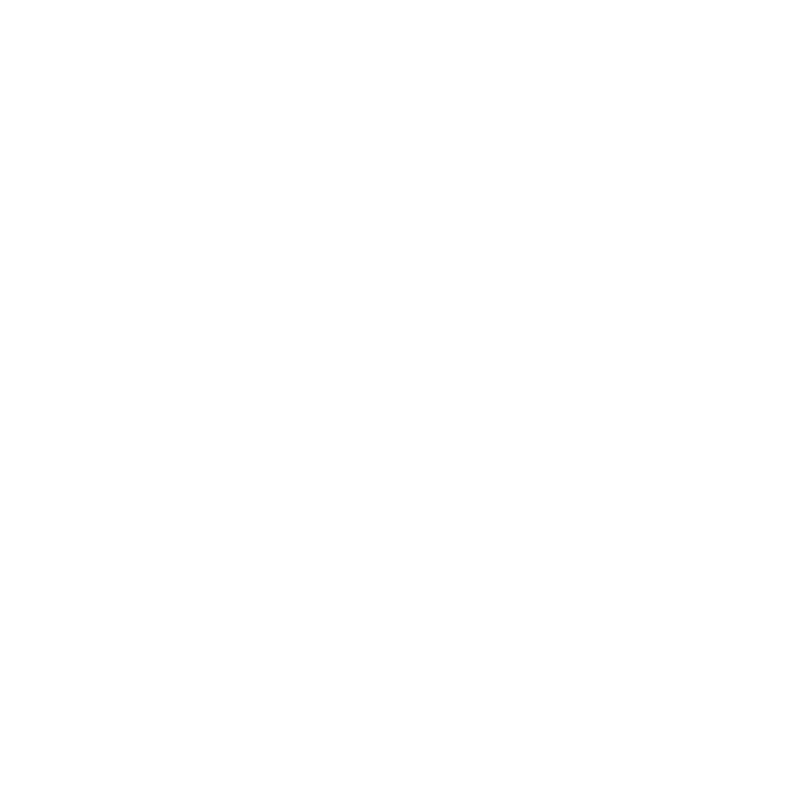 Audio / Visual Systems icon